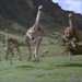 Go to Jurassic Park Image 3