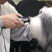 Go to The Shaggy Dog Image 11